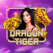 Dragon Tiger mumu player app